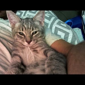 Meet your Posher, Kevin